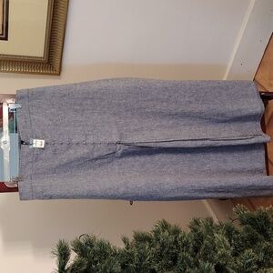 Express Maxi Skirt Blue Sz. XL
